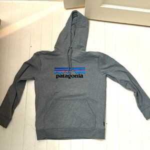 Gray patagonia hoodie